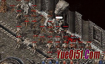 �¿�������̬����