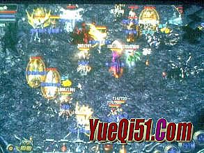 1.76��Ʒ���Ŵ���