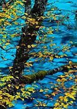 ���ȳ�����ǯ�潻ѧ�ѿ���